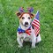 10pcs 4th of July Headbands Patriotic Party Favors Decorations,Star, Uncle Sam Hat, American Flag Accessories Decor for Party Supplies